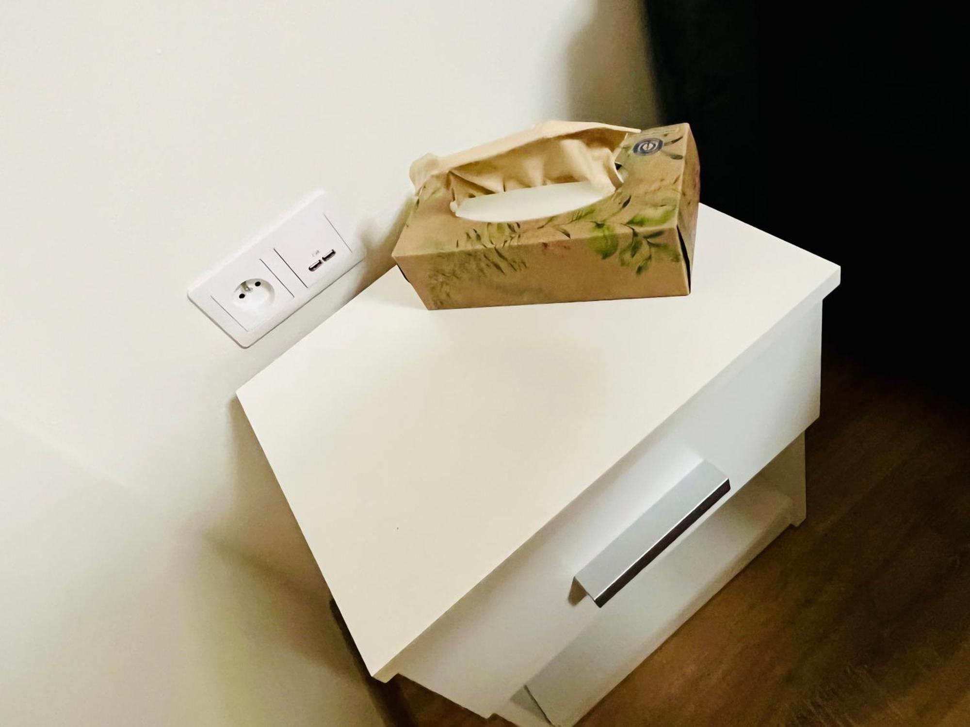 Penzion Tyche Surany エクステリア 写真