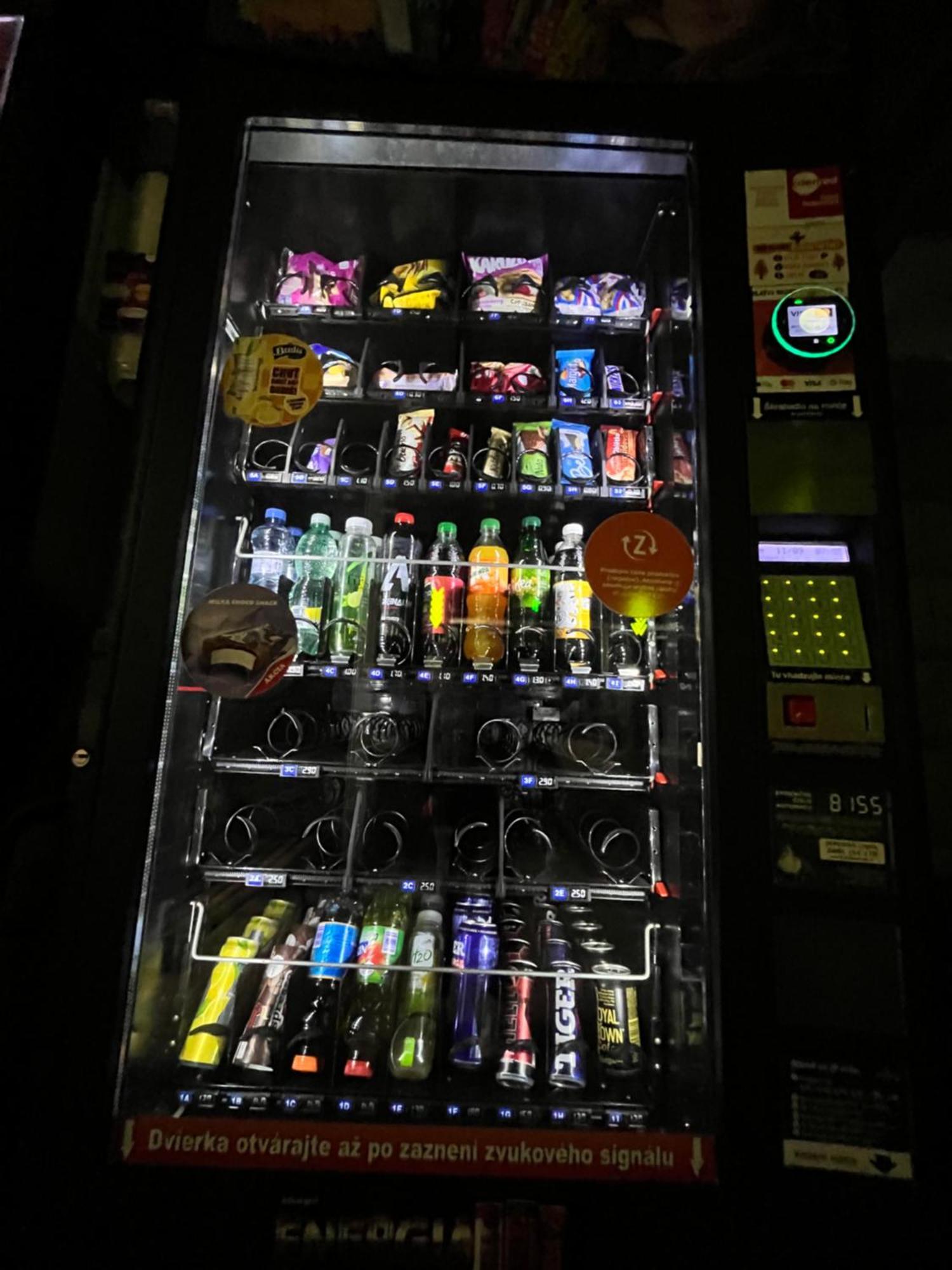 Penzion Tyche Surany エクステリア 写真